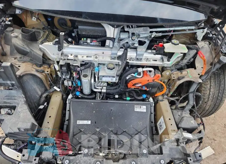 7SAXCBE65RF439713 Photo# 11