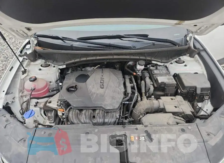 5NMJB3AE8PH276544 Photo# 11
