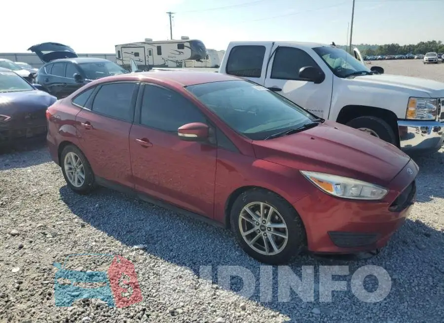 1FADP3F20GL211866 Photo# 4