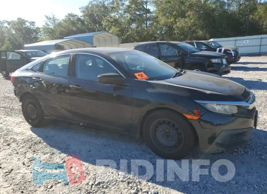 19XFC2F56GE036891 Photo# 4