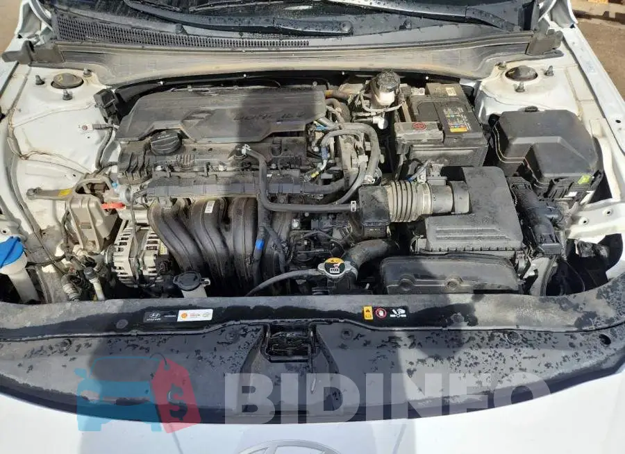 KMHLM4DG4RU648183 Photo# 11