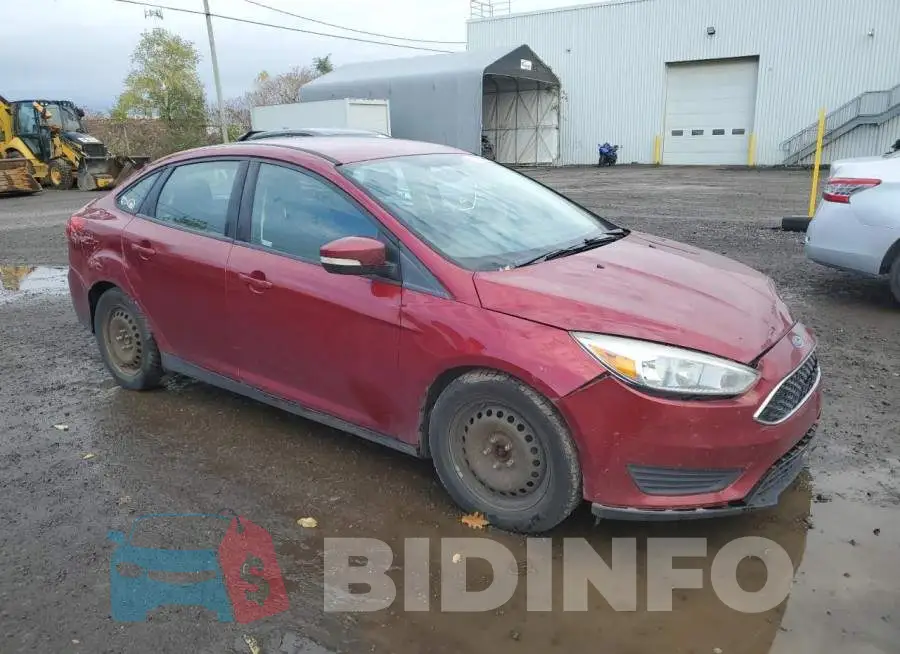 1FADP3F24GL209974 Photo# 4
