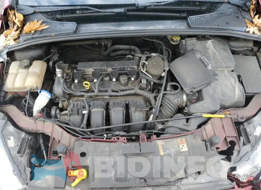 1FADP3F24GL209974 Photo# 11