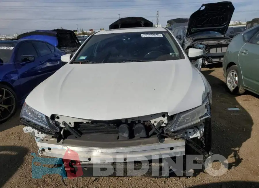 19UUB1F52GA015061 Photo# 5