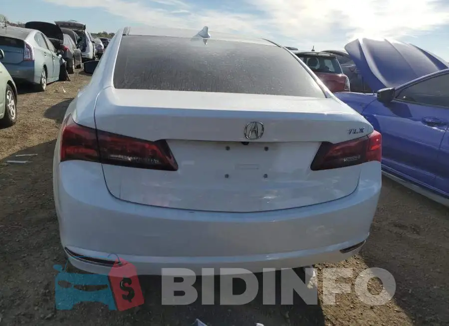 19UUB1F52GA015061 Photo# 6