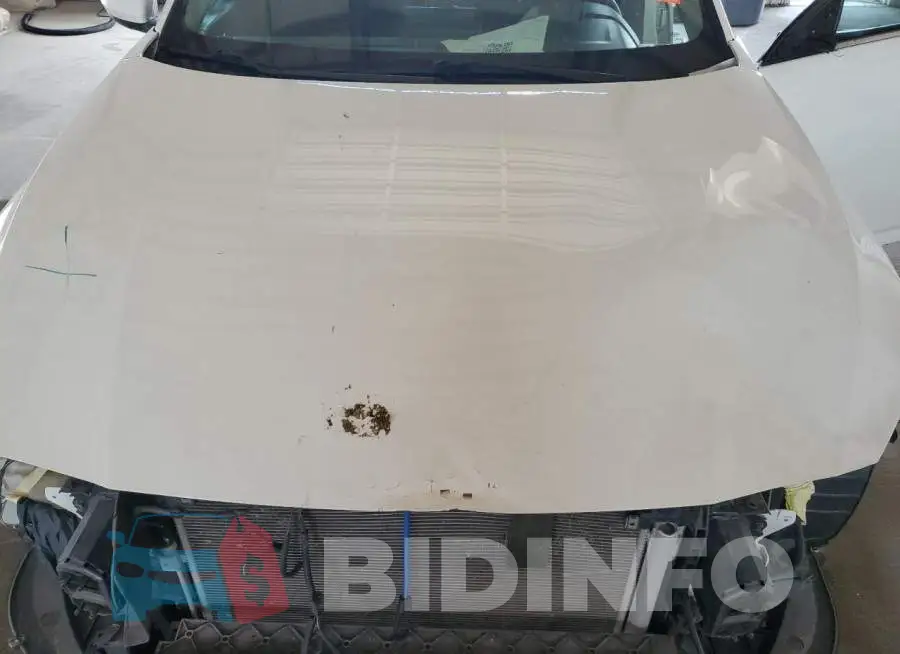 1N4BL4BV1KC252184 Photo# 11