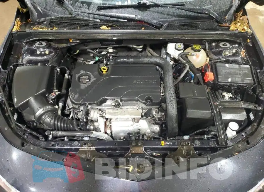1G1ZD5ST1PF233191 Photo# 11
