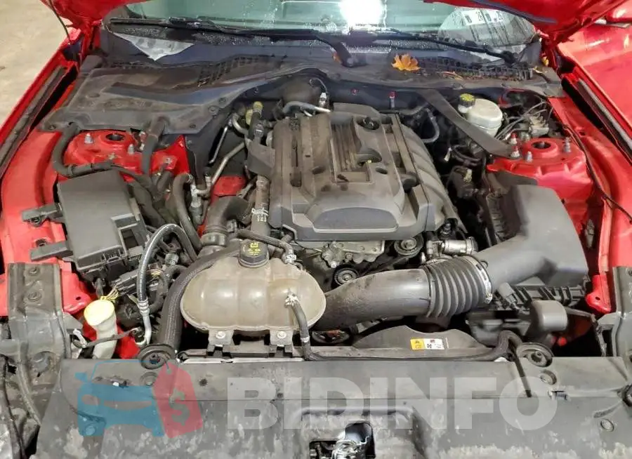 1FATP8UH4G5231929 Photo# 11