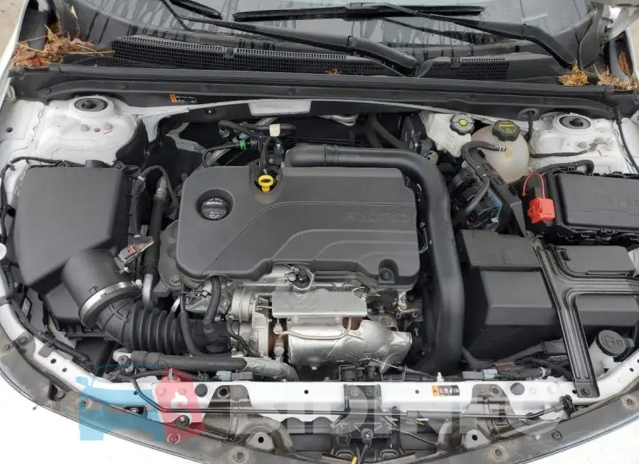 1G1ZD5ST7RF215121 Photo# 11