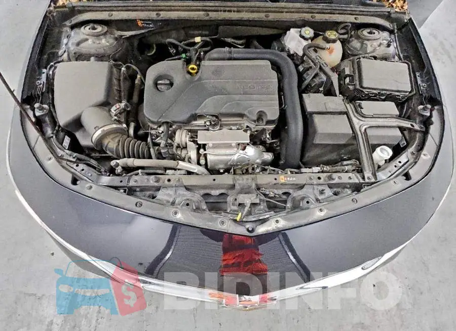 1G1ZD5ST7PF193182 Photo# 11