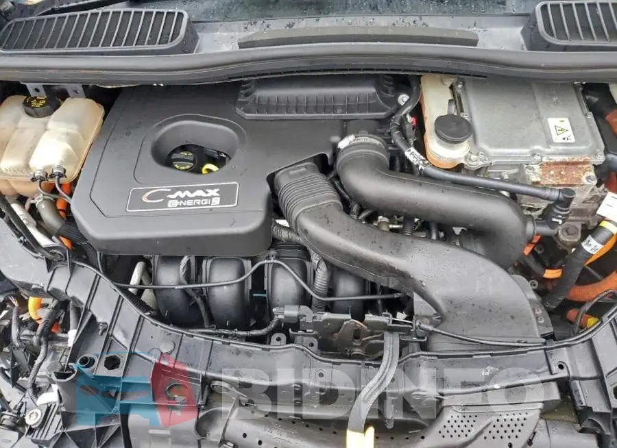 1FADP5CU4GL100819 Photo# 11