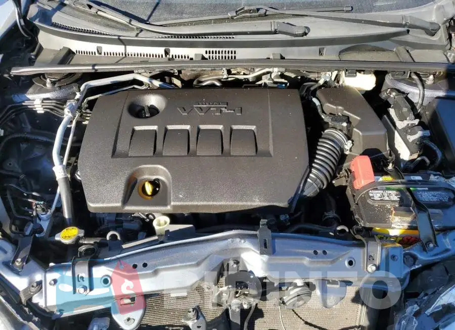 5YFBURHEXGP498922 Photo# 11