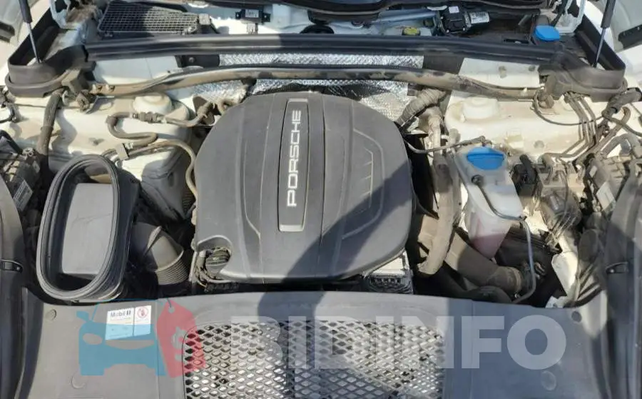 WP1AA2A51JLB21657 Photo# 11