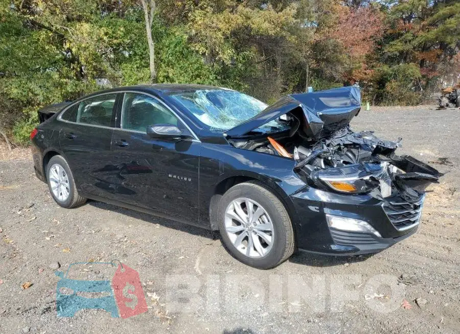 1G1ZD5ST0RF236599 Photo# 4