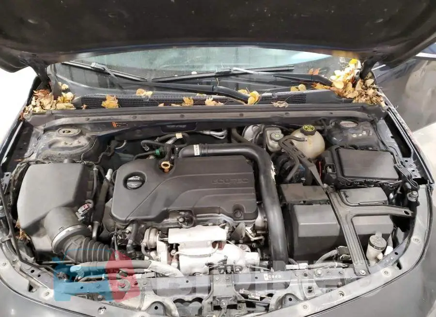 1G1ZD5STXJF180238 Photo# 11