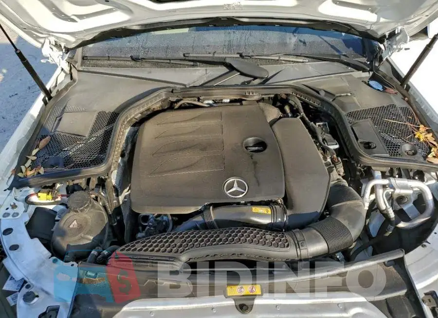 WDDWF8DB4LR539486 Photo# 11