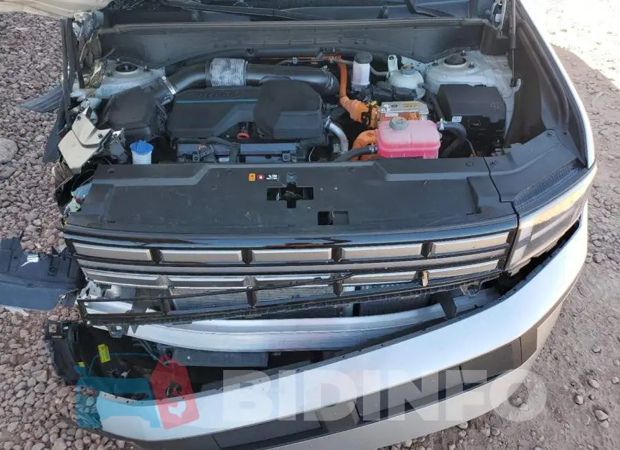 5NMP24G16RH007806 Photo# 12