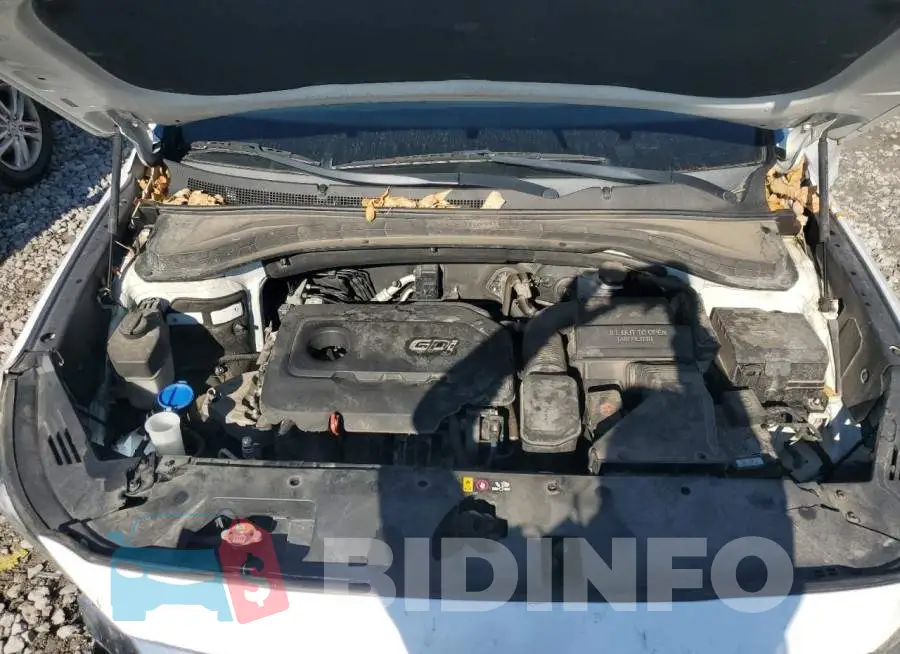 5NMS2CAD7KH135419 Photo# 12