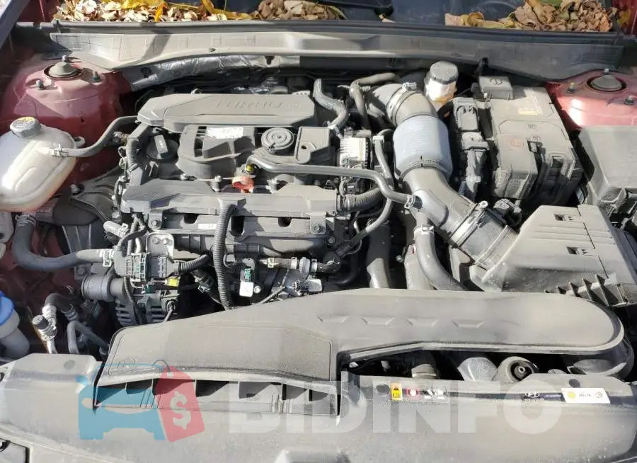 KMHL34J20PA268185 Photo# 11