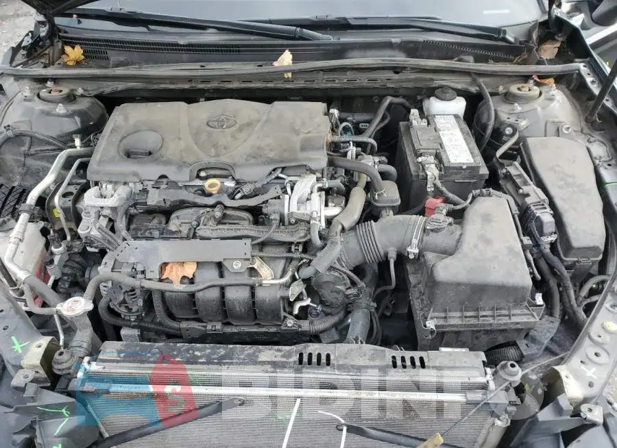 4T1F11AKXLU927495 Photo# 11