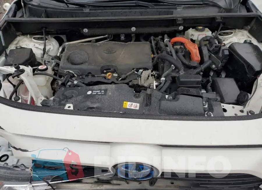 4T3B6RFV2MU017561 Photo# 12