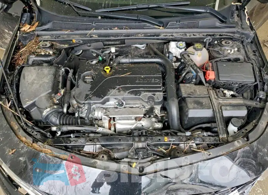 1G1ZD5STXSF117142 Photo# 11