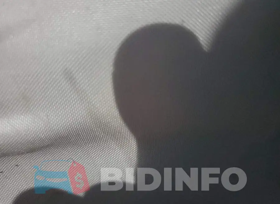 7SAYGDEF1PF925016 Photo# 10