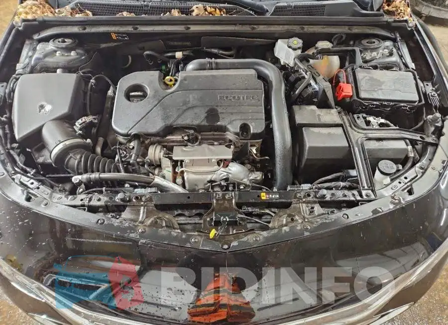 1G1ZD5ST5SF146497 Photo# 11