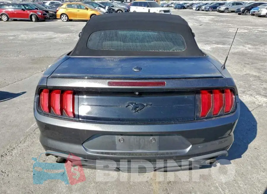 1FATP8UH1K5202428 Photo# 6