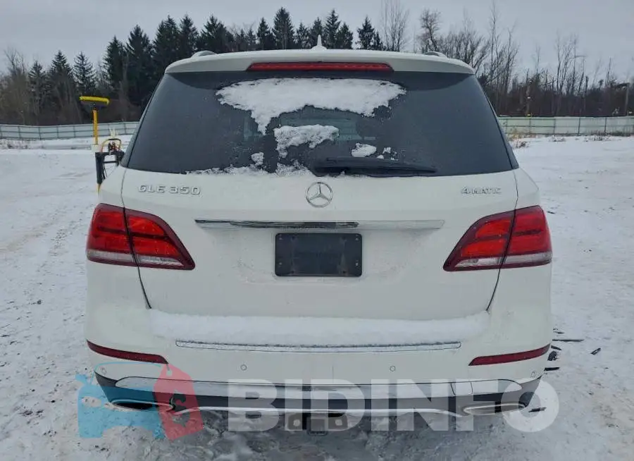 4JGDA5HB6GA685607 Photo# 6
