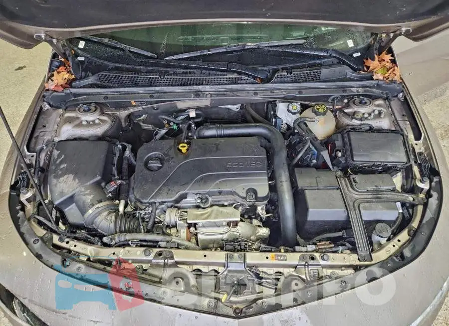 1G1ZD5ST0RF173987 Photo# 11