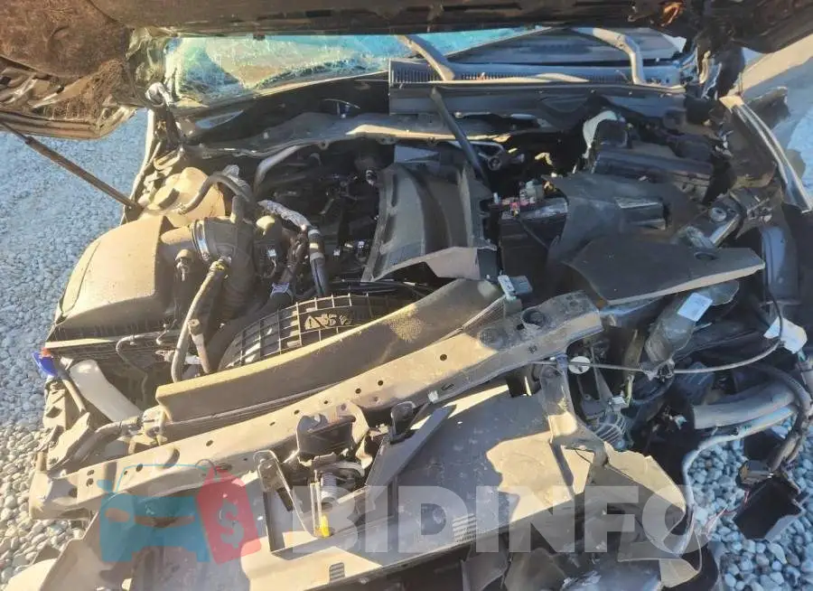 1FTER4FH9MLD40056 Photo# 11