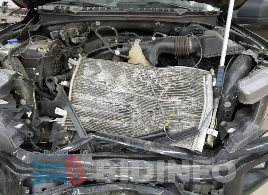 1FTEW1EP2LFA04567 Photo# 11