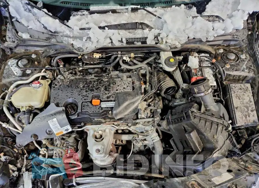 2HGFC2F51GH554624 Photo# 11