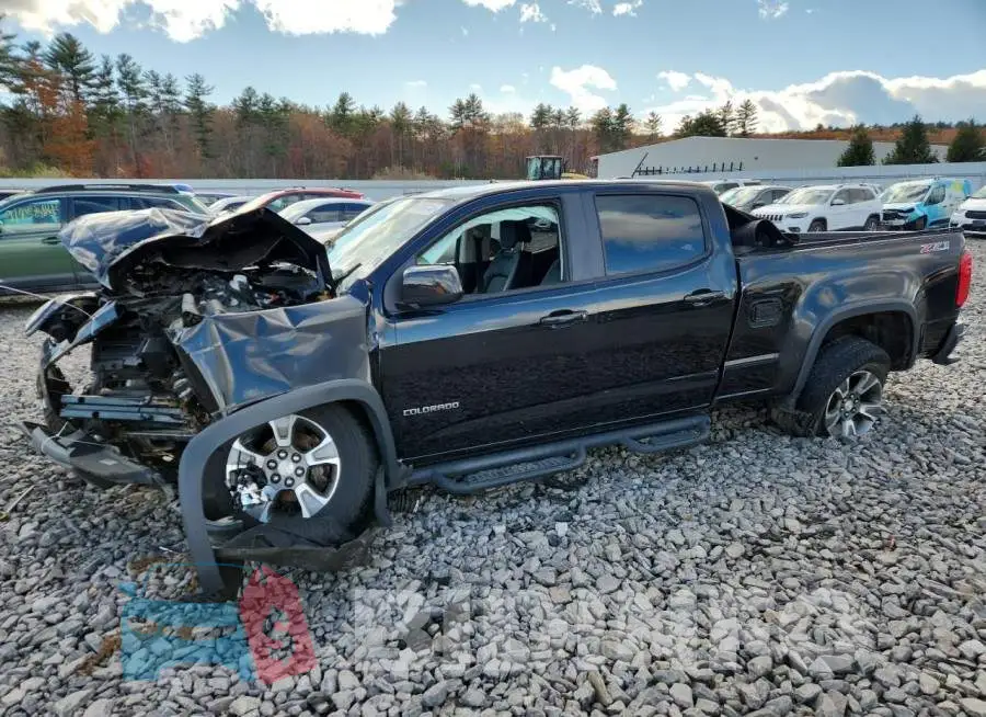 1GCGTDE39G1185170 Photo# 1