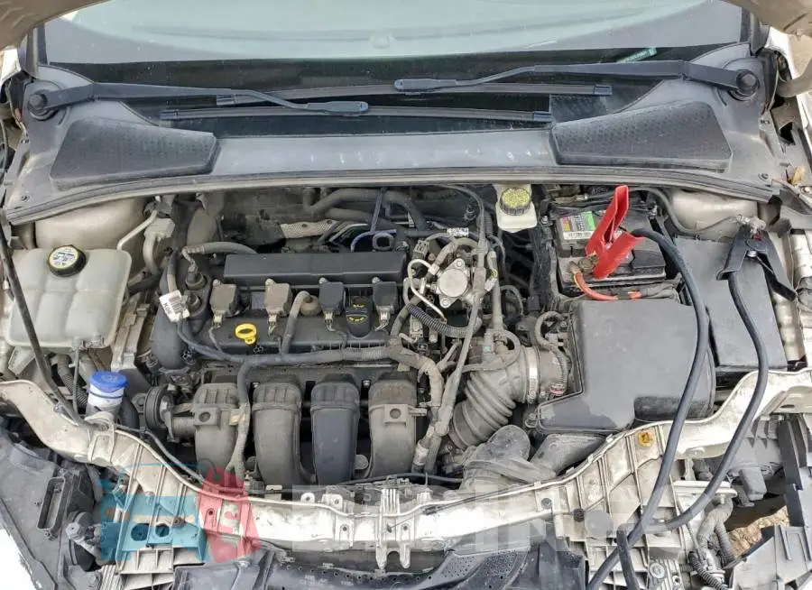 1FADP3F2XHL318831 Photo# 11