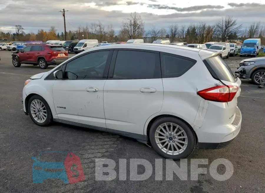 1FADP5AU6GL117334 Photo# 2