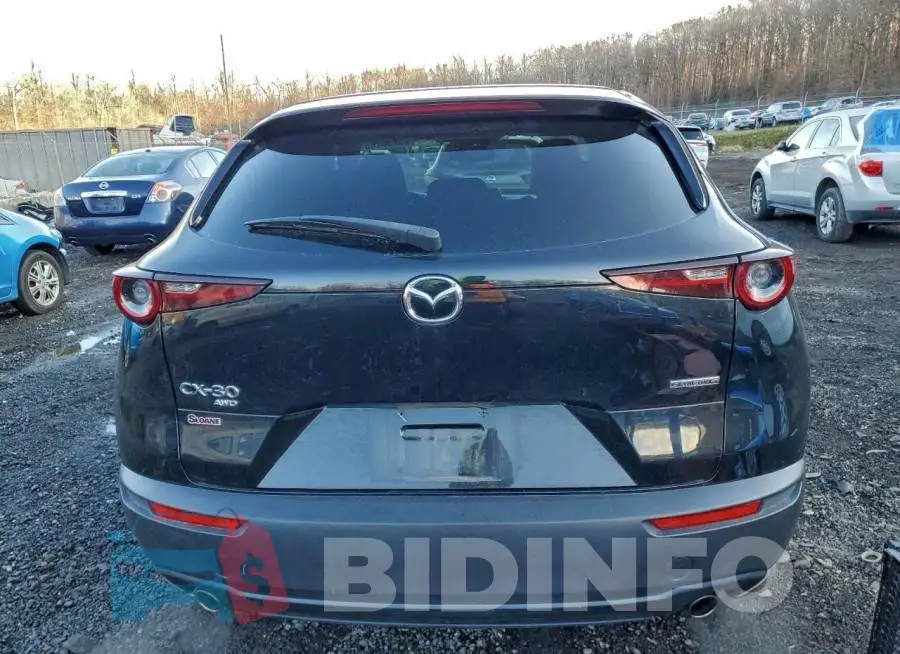 3MVDMBBL5MM246813 Photo# 6