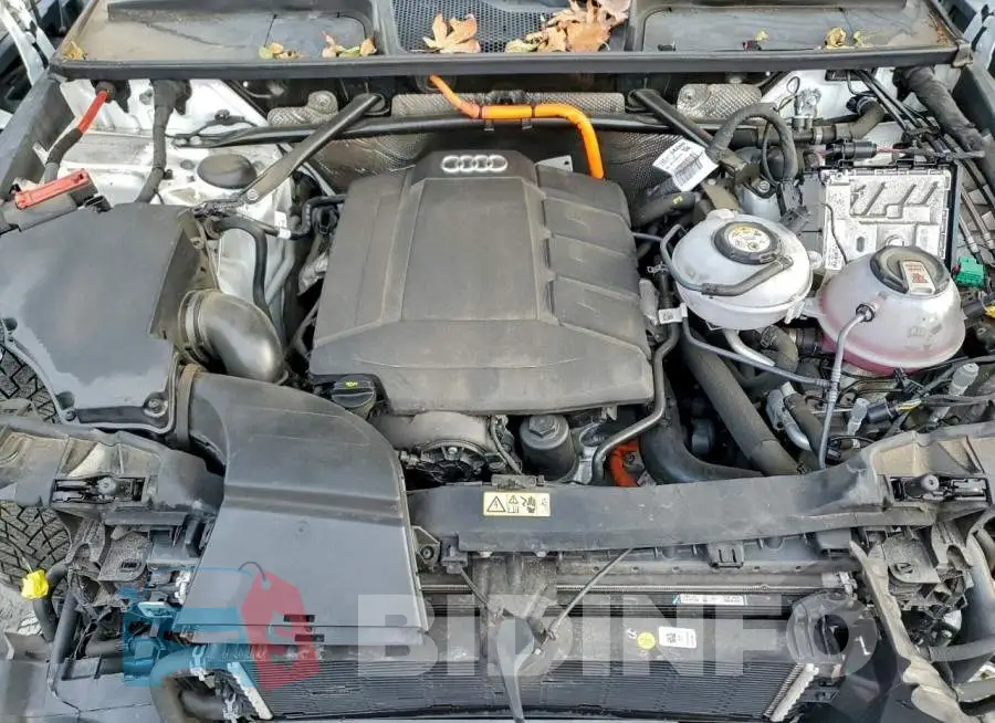 WA1F2BFY7M2013720 Photo# 12