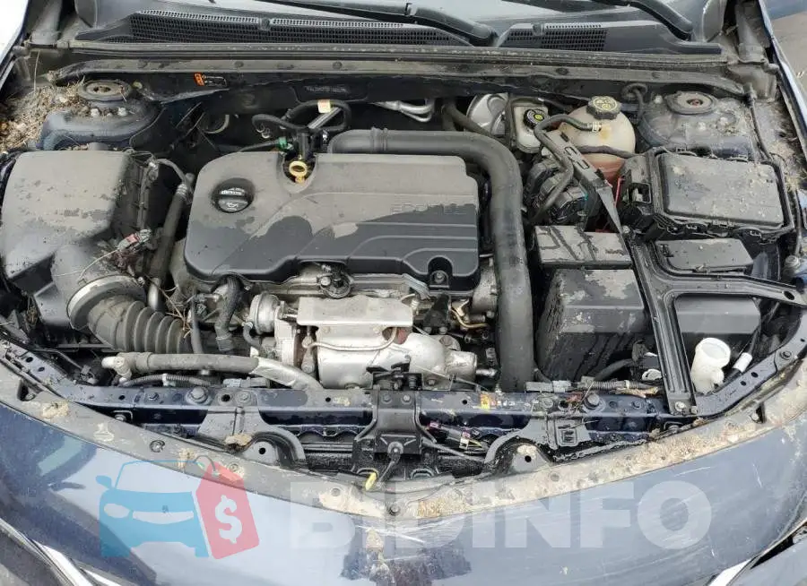 1G1ZD5ST7JF186207 Photo# 11