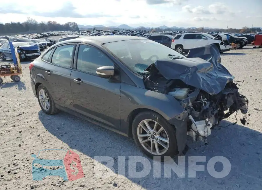 1FADP3F29GL312405 Photo# 4