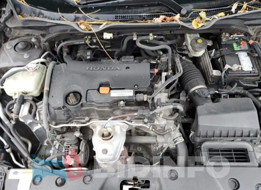 19XFC2F50GE248539 Photo# 11