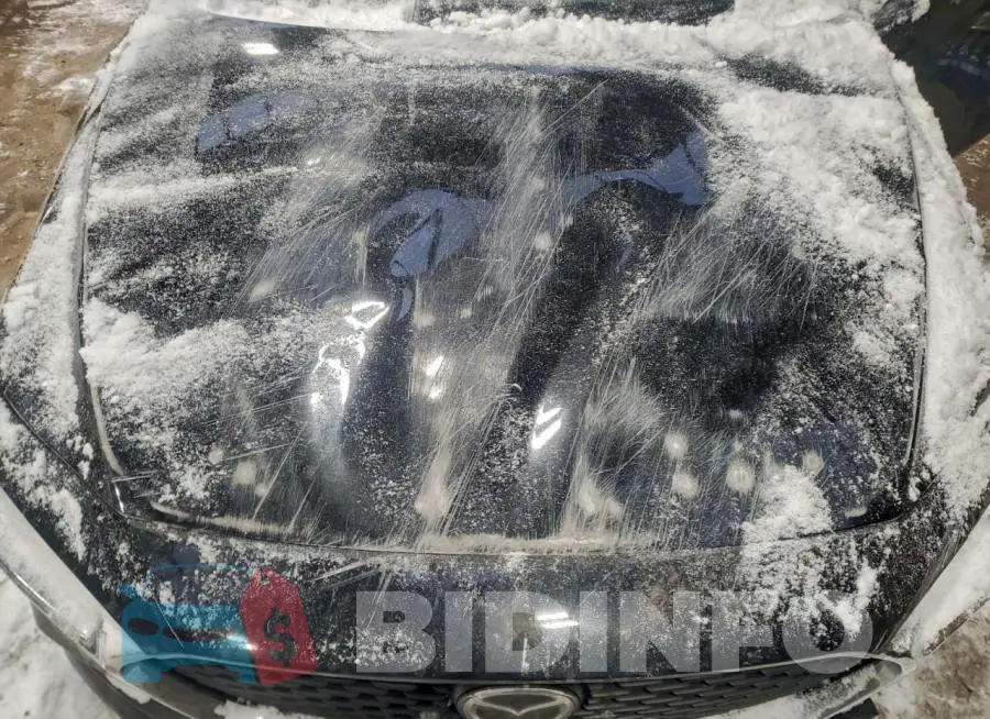 3MZBPACL8KM111392 Photo# 11