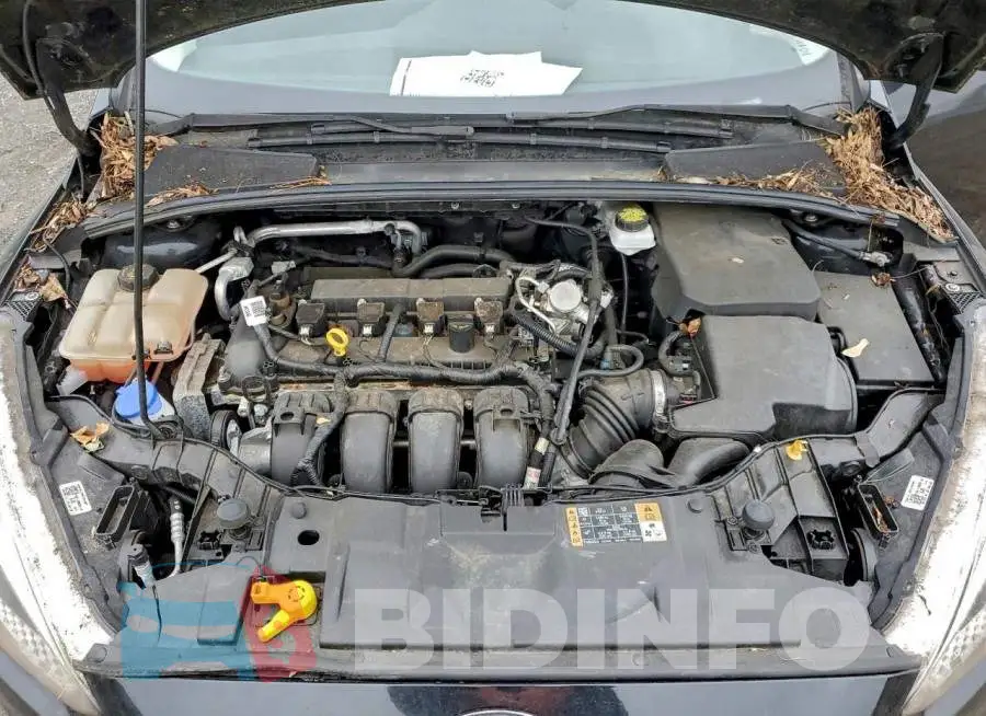 1FADP3E20JL202075 Photo# 11