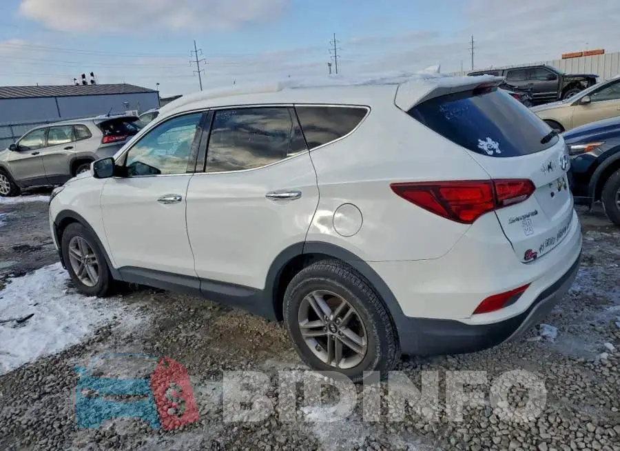 5NMZTDLB6HH030747 Photo# 2