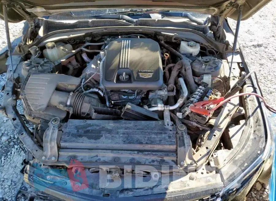 1G6DB5RK9L0143808 Photo# 11