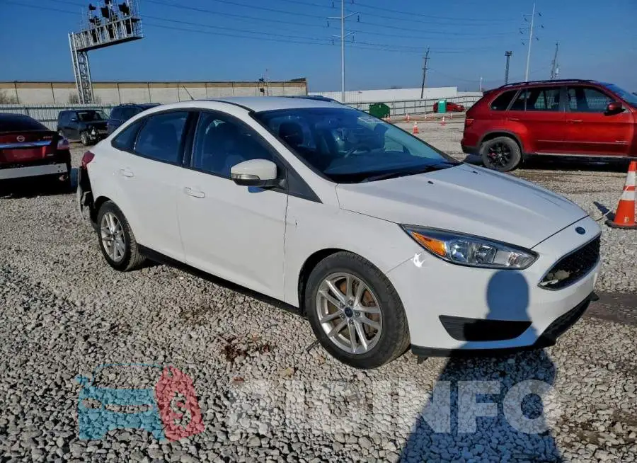 1FADP3F26GL243835 Photo# 4