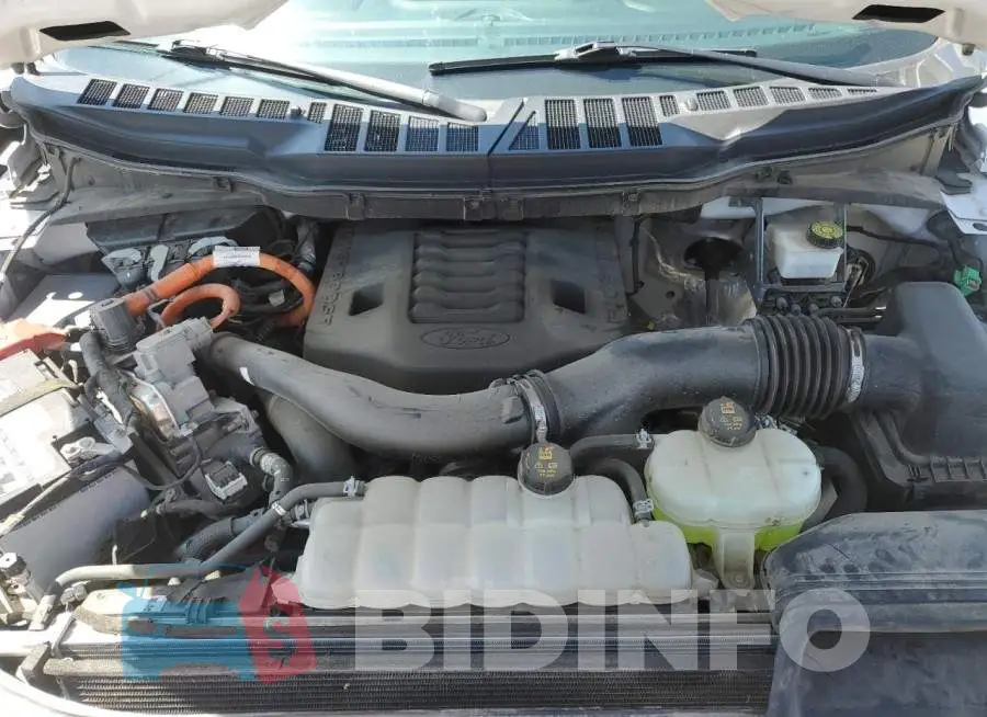 1FTFW1ED7MFB33156 Photo# 11