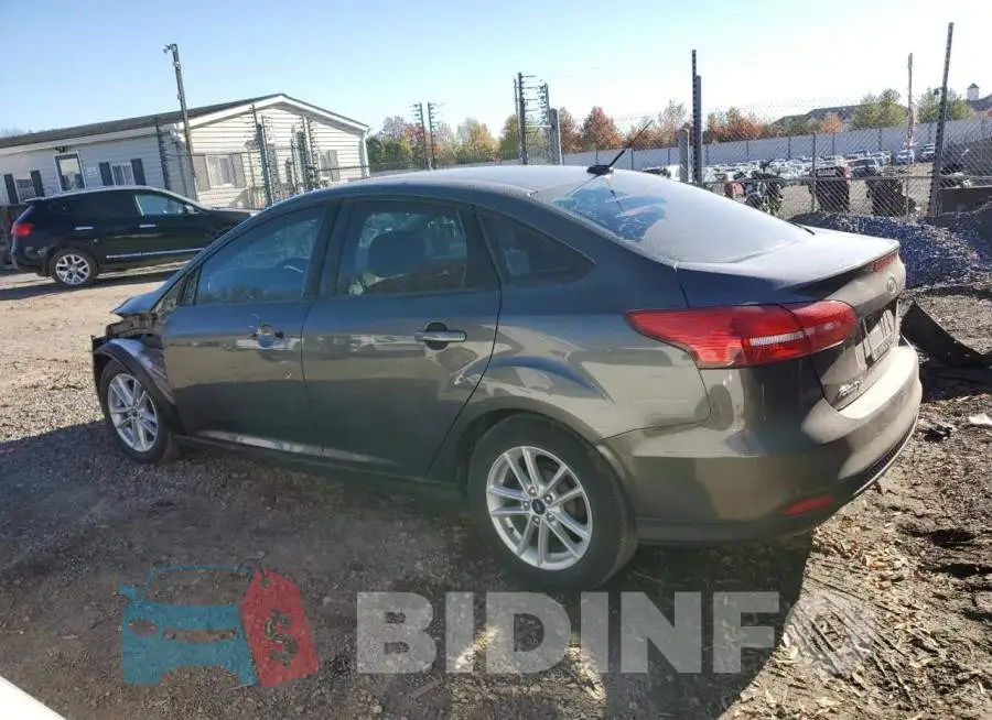 1FADP3F21JL206246 Photo# 2
