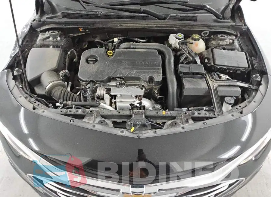 1G1ZD5ST2PF228632 Photo# 11